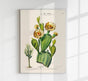 Nopal Cactus – Botanical Fine Art Poster | Patroa Studio