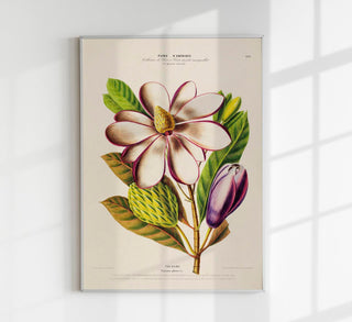 Talaume Botanical Poster – Fine Art Print | UV-resistent | Zeitloses Naturdesign