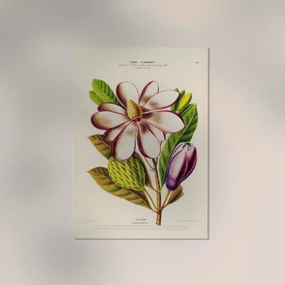 Talaume Botanical Poster – Fine Art Print UV-resistent Naturdesign