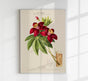 Cotton Cheese Botanical Poster - Art Print Floral Illustration