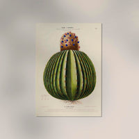 Le Cierge Melon Botanical Poster – Historical Cactus Illustration | Art Print — Ansicht 2