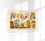 Orchid Flowers Chart Nr. 2 – Fine Art Print UV-beständig Historische Botanik