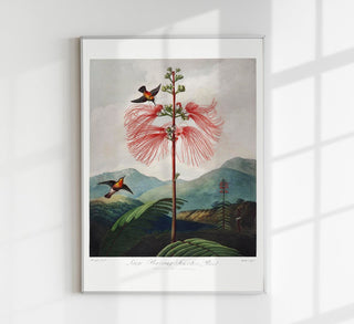 Zarter botanischer Fine Art Print oder Canvas, Größen A3 bis A0, ohne Rahmen, flexibel präsentierbar.

