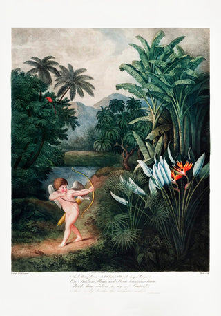 Cupid from Temple of Flora – Fine Art Print | UV-beständig | Klassische Allegorie