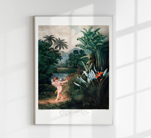 Cupid from Temple of Flora Fine Art Print – UV-beständig, Klassische Allegorie