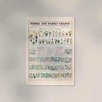 School and Family Chart Flowers – Fine Art Print | Vintage Educational Chart | UV-resistant — Ansicht 2