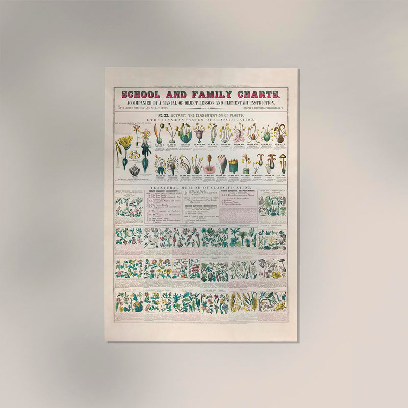 School and Family Chart Flowers – Fine Art Print | Vintage Educational Chart | UV-resistant — Ansicht 2