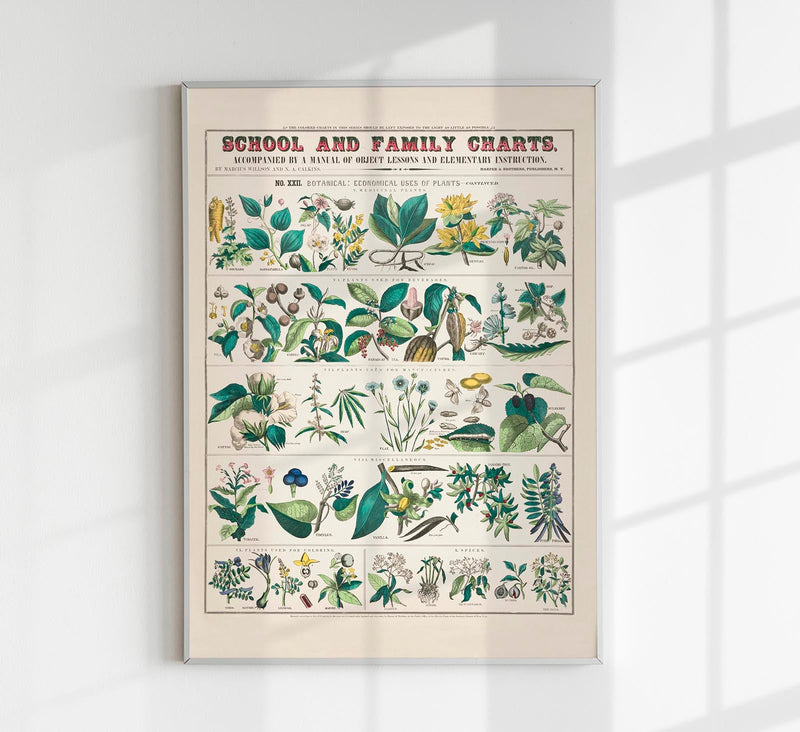 School and Family Chart Plants – Fine Art Print UV-beständig | Patroa Studio — Patroa Studio