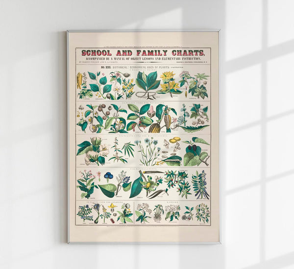 School and Family Chart Plants – Fine Art Print UV-beständig | Patroa Studio