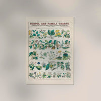 School and Family Chart Plants – Fine Art Print UV-beständig | Patroa Studio — Ansicht 2