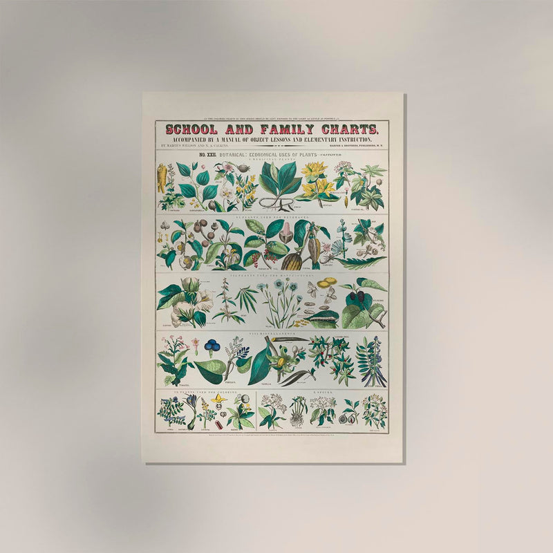 School and Family Chart Plants – Fine Art Print UV-beständig | Patroa Studio — Ansicht 2
