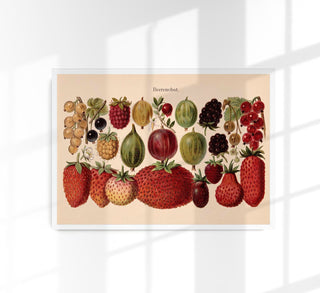 Fruit Berries Chart – Fine Art Print | UV-beständig | Historische Botanik