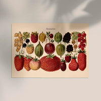 Fruit Berries Chart – Fine Art Print UV-beständig | Patroa Studio — Ansicht 2