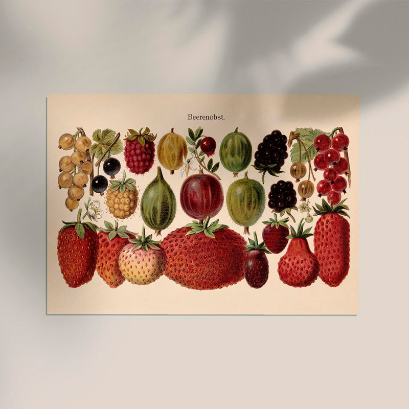 Fruit Berries Chart – Fine Art Print UV-beständig | Patroa Studio — Ansicht 2