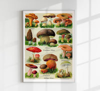 Vintage German Mushroom Chart – Fine Art Print UV-resistent, Made in Berlin — Ansicht 1