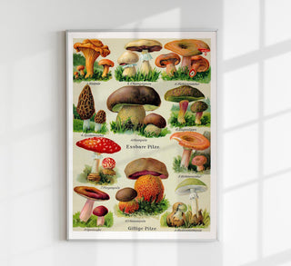 Vintage German Mushroom Chart – Fine Art Print UV-resistent, Made in Berlin