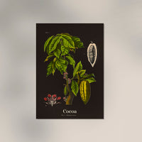 Cacao Botanical Poster black – Botanical Fine Art Print — Ansicht 2