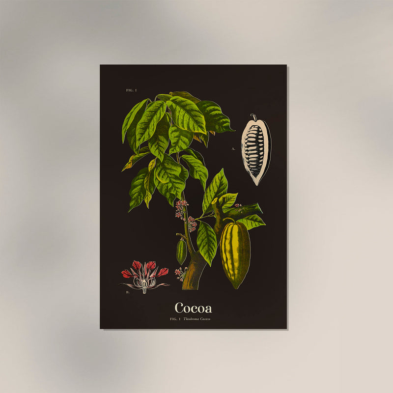 Cacao Botanical Poster black – Botanical Fine Art Print — Ansicht 2