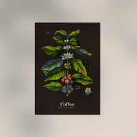 Coffee Botanical – Fine Art Print | Botanische Studie | Ausstellungsposter — Ansicht 3