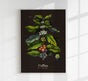 Coffee Botanical - Fine Art Print | Botanical Study | Exhibition Poster
