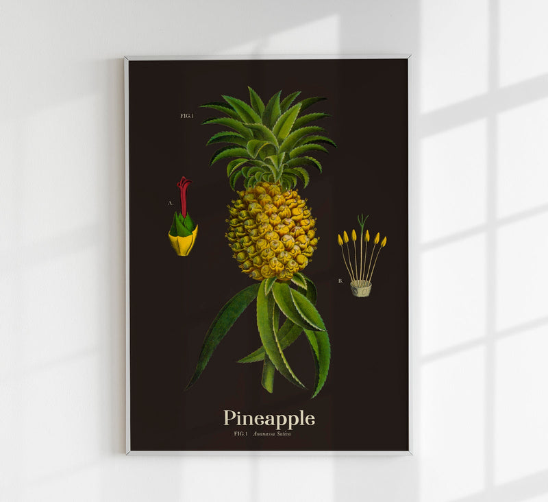 Pineapple Botanical Poster – Fine Art Print UV-beständig Tropische Ikone — Patroa Studio