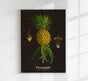 Pineapple Botanical Poster – Fine Art Print UV-beständig Tropische Ikone