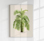 Phoenix Reclinata Poster – Fine Art Print UV-beständig Senegal-Dattelpalme