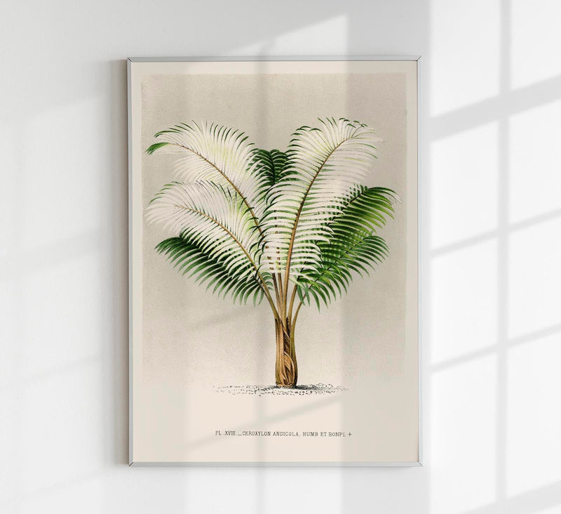 Ceroxylon Andicola Poster – Fine Art Print UV-resistant Andean Wax Palm — Patroa Studio