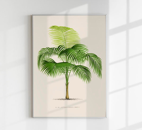 Euterpe Edulis Poster – Vibrant | Natural | Tropical Flair