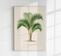Kentia Sapida Poster – Fine Art Print UV-beständig in 6 Größen