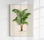 Areca Baueri Poster – Fine Art Print UV-resistant Tropical Elegance