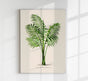 Chamaedorea elegans Poster – Botanischer Druck Fine Art Canvas