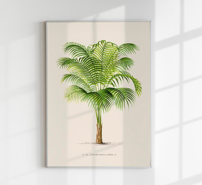 Geonoma Gracilis Poster – Fine Art Print UV-beständig Baumwoll-Canvas — Patroa Studio