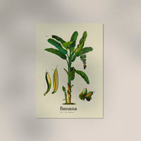 Banana Botanical Light Poster – Fine Art Print UV-resistant — Ansicht 3