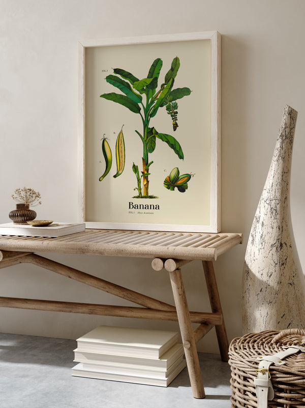 Banana Botanical Light Poster – Fine Art Print UV-resistant