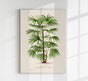 Rhapis Flabelliformis Poster – Fine Art Print UV-beständig