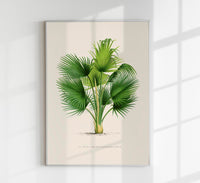 Thrinax – Fine Art Print | UV-beständig | Botanisches Design — Ansicht 1