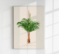 Geonoma Verschaffeltia Poster Fine Art Print UV Resistant Tropical Aesthetic — Ansicht 1