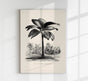 Seychelles Tree Poster – Fine Art Print UV-beständig Patroa Studio