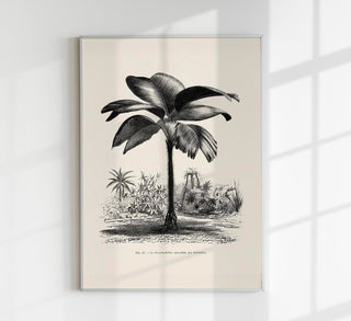Seychelles Tree Poster – Fine Art Print UV-resistant Patroa Studio