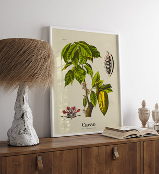 Cacao Botanical Light Poster – Botanischer Druck | Fine Art | Canvas