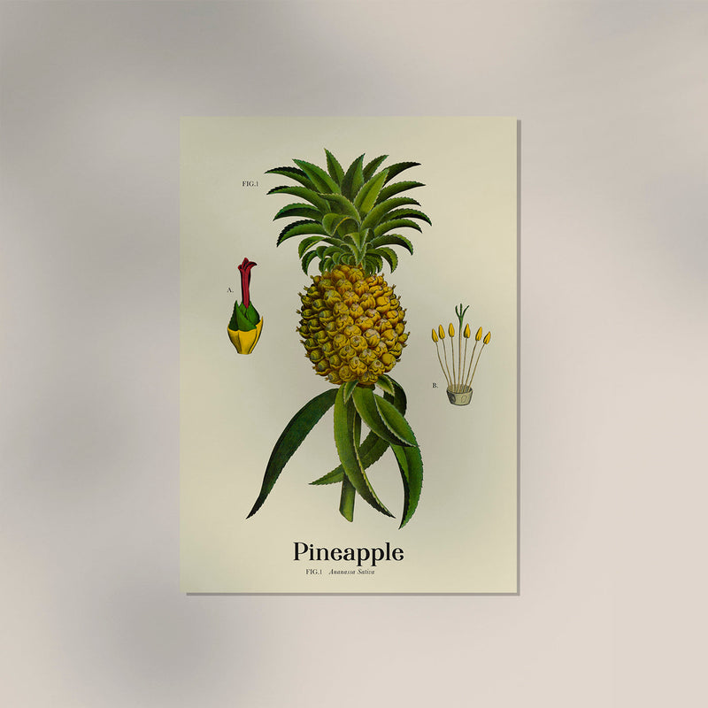 Pineapple Botanical Light Poster – Hell | Ananas | Fine Art Canvas — Ansicht 3
