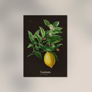 Lemon Botanical Poster – Frisch | Premiumdruck | Zitrushell