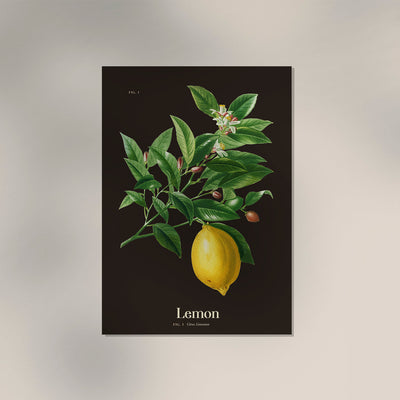 Lemon Botanical Poster – Fresh | Premium Print | Citrus Bright