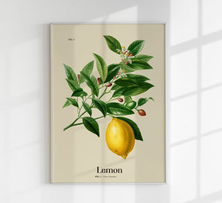 Lemon Botanical Light Poster – Frisch | Premiumdruck | Hell & Leuchtend