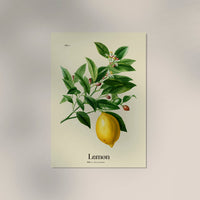 Lemon Botanical Light Poster - Premium print on matte art paper — Ansicht 3