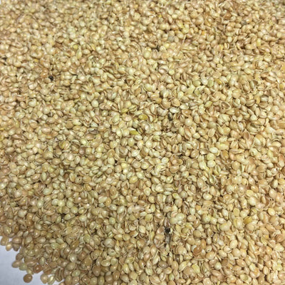 Bio Kuschelkissen Fuchs – GOTS Bio-Baumwolle | Spelzfüllung | Vegan