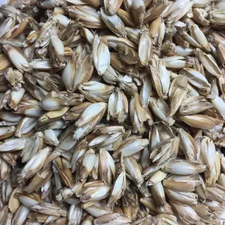 Bio Kuscheltier „Großer Löwe“ – weich | bio | vielseitig