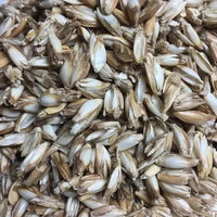 Bio Kuscheltier Großer Löwe – Bio-Baumwolle GOTS, gewichtet — Ansicht 4