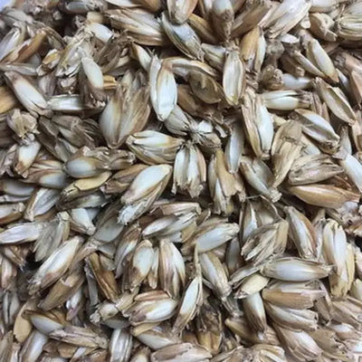 Bio Kuscheltier Großer Löwe – Bio-Baumwolle GOTS, gewichtet